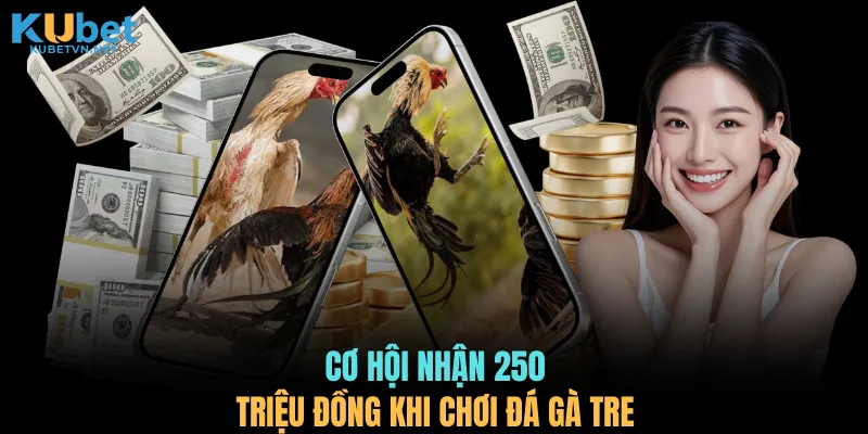 Cơ hội nhận 250 triệu đồng khi chơi đá gà tre
