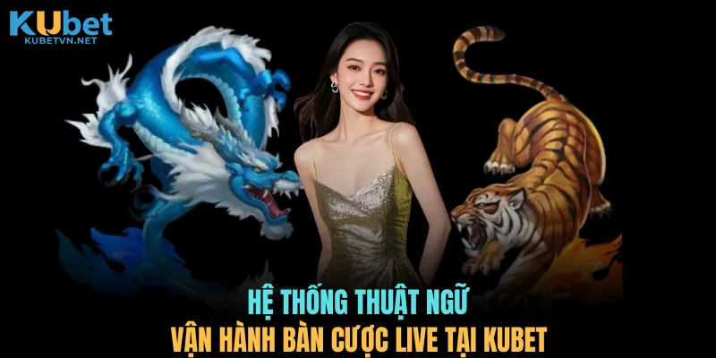 Hệ thống thuật ngữ vận hành bàn cược live tại KUBET